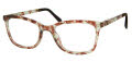 ECO Tilia Havana Moss Eyeglasses - Color Image
