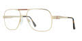 Safilo Elasta E 3022/P Gold (0J5G) Eyeglasses - Color Image