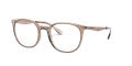 Emporio Armani EA3168 Shiny Transparent Tundra (5850) Eyeglasses - Color Image