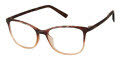 Esprit ET 33459 Havana Eyeglasses - Color Image
