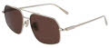 Salvatore Ferragamo SF313S Gold / Brown (745) Sunglasses - Color Image