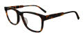 Fila VFI304 Havana (0C10) Eyeglasses - Color Image
