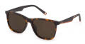 Fila SFI461 Havana (C10P) Sunglasses - Color Image