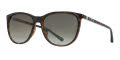 Fossil Fos 3082/S Dark Havana / brown gradient (0086/HA) Sunglasses - Color Image