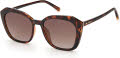 Fossil Fos 3116/S Havana / Brown Gradient (0086/HA) Sunglasses - Color Image