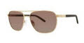 Goliath Goliath XXVII Gold Sunglasses - Color Image
