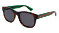 Gucci GG0003SN Havana-Green / Grey Lens (003) Sunglasses - Color Image