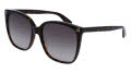 Gucci GG0022S Dark Havana / Gradient Brown Lens (003) Sunglasses - Color Image