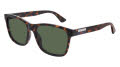 Gucci GG0746S Havana / Green Lens (003) Sunglasses - Color Image