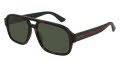 Gucci GG0925S Shiny Medium Havana / Bottle Green Lens (002) Sunglasses - Color Image