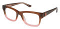 GX by Gwen Stefani Kids GX800 Brown / Pink (BRN) Eyeglasses - Color Image