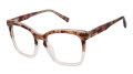 GX by Gwen Stefani GX098 Rose Tort (ROS) Eyeglasses - Color Image