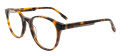Hackett HEK 1312 Tortoise (107) Eyeglasses - Color Image