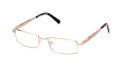 Harley-Davidson HD9027 Shiny Deep Gold (032) Eyeglasses - Color Image