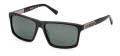 Harley-Davidson HD0977X Dark Havana / Green Polarized (52R) Sunglasses - Color Image