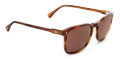 Hobie Cortez Shiny Tortoise/Copper (CORTEZ-282828) Sunglasses - Color Image