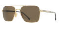 Hugo Boss Boss 1045/S/IT Rose Gold / Brown (0000/70) Sunglasses - Color Image