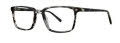 Jhane Barnes Colormap Grey Tort Eyeglasses - Color Image