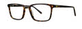 Jhane Barnes Colormap Tortoise Eyeglasses - Color Image