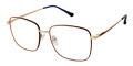 Jill Stuart JS 442 Caramel Gold Navy (2) Eyeglasses - Color Image