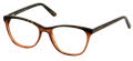 Jill Stuart JS 379 Brown (1) Eyeglasses - Color Image