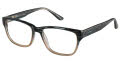Jill Stuart JS 356 Blue Fade (2) Eyeglasses - Color Image