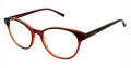 Jill Stuart JS 366 Brown Demi (1)  Eyeglasses - Color Image
