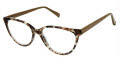 Jill Stuart JS 373 Brown (1)  Eyeglasses - Color Image
