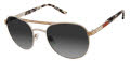 Jimmy Crystal New York JCS129 Silver Sunglasses - Color Image