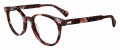 John Varvatos VJV434 Burgundy Havana Eyeglasses - Color Image