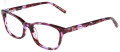 Jones New York J228-Petite Purple Tortoise Eyeglasses - Color Image