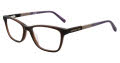 Jones New York J236-Petite Brown Eyeglasses - Color Image