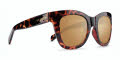 Kaenon Lido Tortoise / Gold (073TOTOGL GDGD) Sunglasses - Color Image