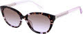 Kate Spade Philippa/G/S Violet / Brown Gradient Violet (0B3V/QR) Sunglasses - Color Image