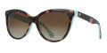 Kate Spade Daesha/S Havana Pattern Green / brown gradient polz polarized (02NL/LA) Sunglasses - Color Image