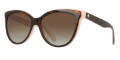 Kate Spade Daesha/S Havana Pink / brown gradient polz polarized (00T4/LA) Sunglasses - Color Image