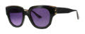 Lafont Ouest Black (1092) Sunglasses - Color Image