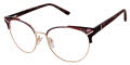 L.A.M.B. LA120 Purple (PUR) Eyeglasses - Color Image