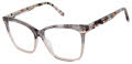 L.A.M.B. LA129 Grey Blush (GRY) Eyeglasses - Color Image