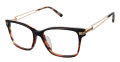L.A.M.B. LAUF115 Black/Horn (BLK) Eyeglasses - Color Image