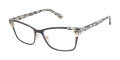 L.A.M.B. LA074 Black Gold (BLK) Eyeglasses - Color Image