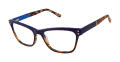 L.A.M.B. LA075 Navy Tortoise (NAV) Eyeglasses - Color Image