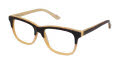 L.A.M.B. LA016 - LARA Tortoise Gold (TOR) Eyeglasses - Color Image