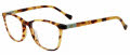 Lucky Brand Kids VLBD735 Havana (0HAV) Eyeglasses - Color Image