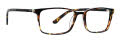Life is Good Quentin Tortoise (TOR) Eyeglasses - Color Image