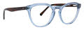 Life is Good Micah Blue Eyeglasses - Color Image
