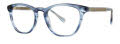 Lilly Pulitzer Sheree Azure Horn Eyeglasses - Color Image