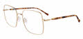 Lucky Brand VLBD130 Gold (0GOL) Eyeglasses - Color Image