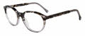 Lucky Brand Kids VLBD825 Grey Havana Eyeglasses - Color Image