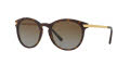 Michael Kors MK2023 Dk Tortoise-Gold / Brown Gradient Polarized Lens (3106T5) Sunglasses - Color Image